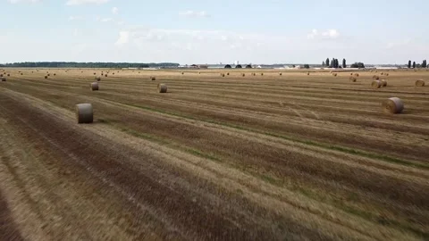 Saloma field round bales Stock Footage 149183442