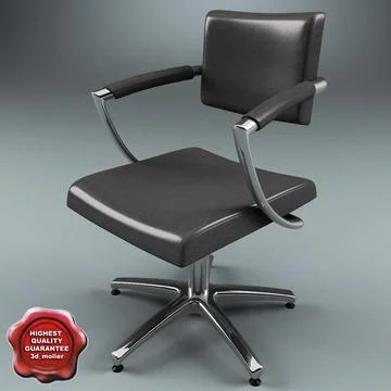 Salon Chair 3D Model