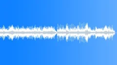 SaloonStock Music