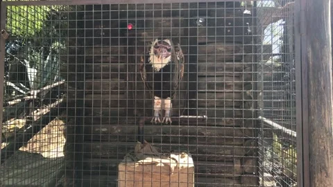Salou, Spain, A close up of a cage Video stock 134075423