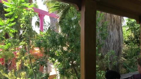 Salou, Spain, A tree next to a window Video stock 134041974