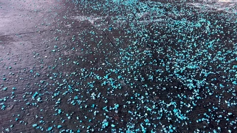 Salt and de-icer spread on slippery driveway and sidewalk to melt snow and Stock Footage 123377750