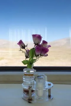 Salt and pepper on a restaurant table in the  train Lhasa - Shanghai Stock Photos