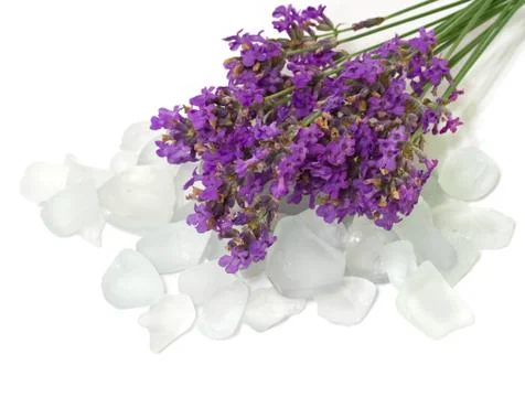 Salt bath with lavender. isolate on white. Stock Photos