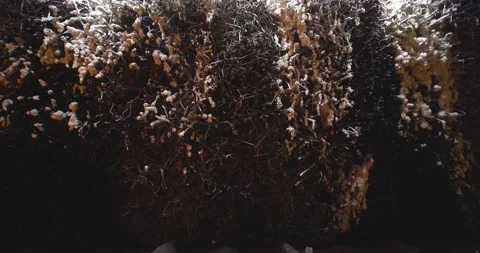 Salt Cave Waterfall Close Up Stock Footage 141202191