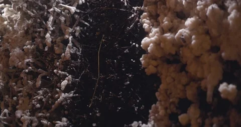 Salt Cave Waterfall Close Up Stock Footage 141202378