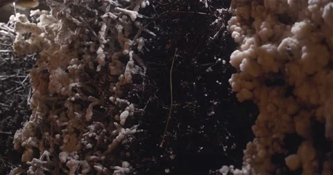 Salt Cave Waterfall Close Up Stock Footage 141202386