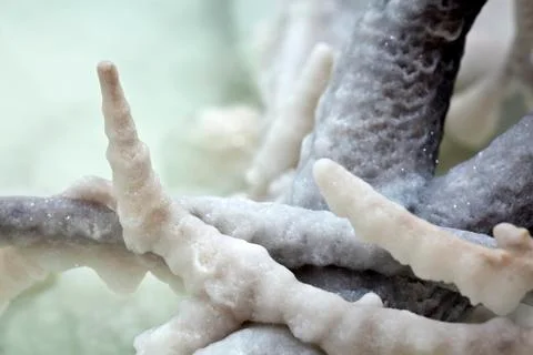 Salt cluster Stock Photos