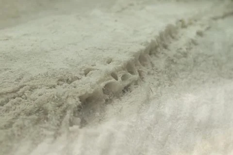 Salt cod abstract detail Stock Photos