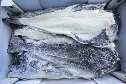 Salt cod or bakaliaros or hake, Merluccius merluccius in Greek fish market. Stock Photos