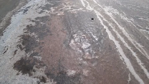 Salt crust instead of water Stock Footage 136605404
