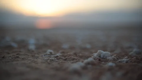 Salt crystals on ground Stock Footage 129754416