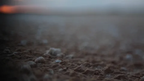 Salt crystals on ground Stock Footage 129756975