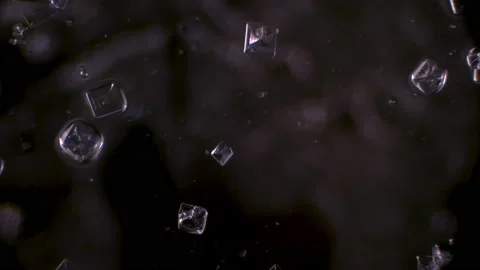 Salt Crystals Grow. View in Microscope Stock Footage 140017093