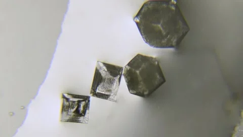 Salt crystals microscopic image being formed from water evaporation timelapse Stock Footage 148889146