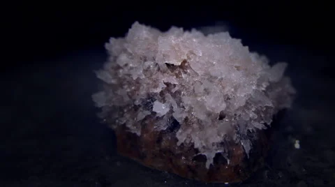 Salt crystals timelapse Stock Footage 58201665