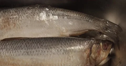 Salt cured herrings closeup selective focus 動画素材 167965399
