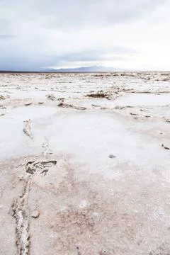 Salt desert Foto stock