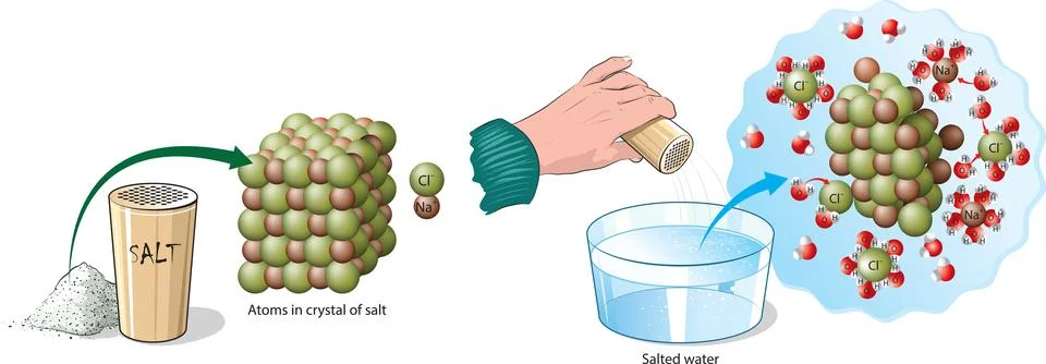 Salt Dissolution Stock Illustration