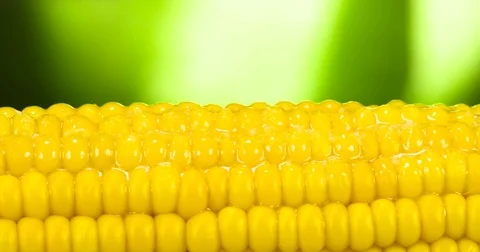 Salt Drops on Hot Corn 4K Stock Footage 81076278