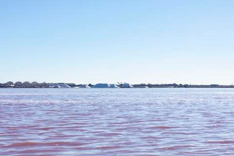 Salt extraction process from the pink lagoon Foto stock