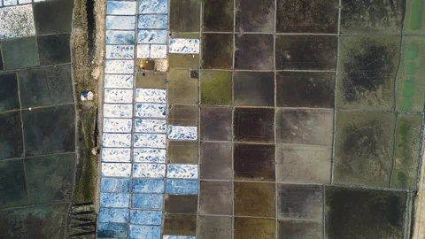 Salt farm making process in salt field Stock Footage 273630205