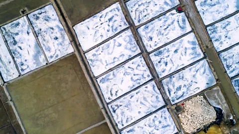 Salt farm making process in salt field Stock Footage 273630760