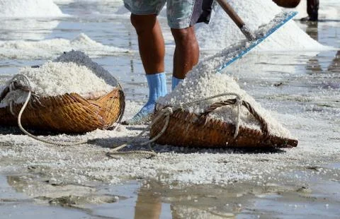 Salt farm Stock Photos