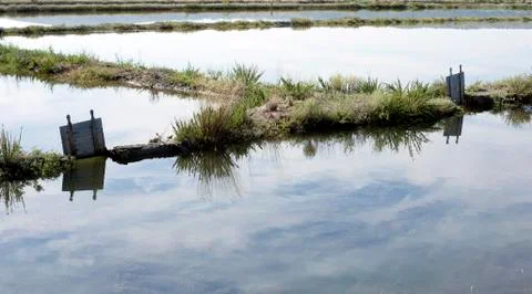 Salt farm water Stock Photos