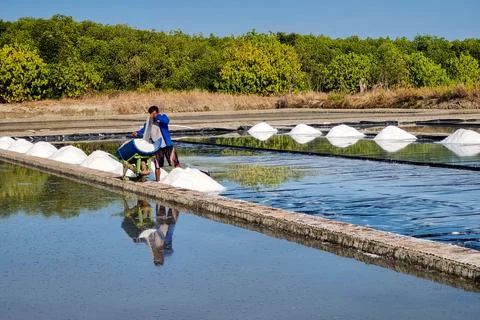 Salt Farmer Stock Photos