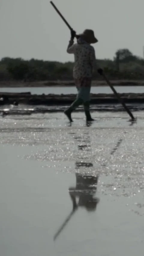 Salt farmers work in the fields, East Java, Indonesia. Stock Footage 289177193