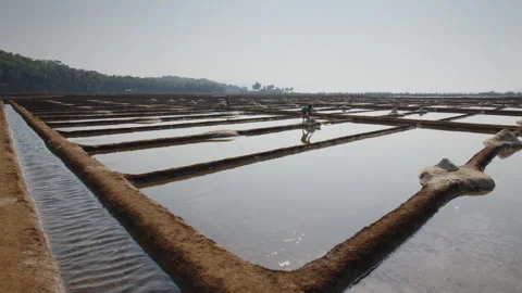Salt Farming A Dedicated Worker Responsibly Tending to Expansive Salt Pans Under Stock Footage 303869862
