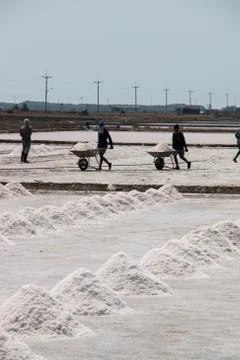 Salt field Stock Photos