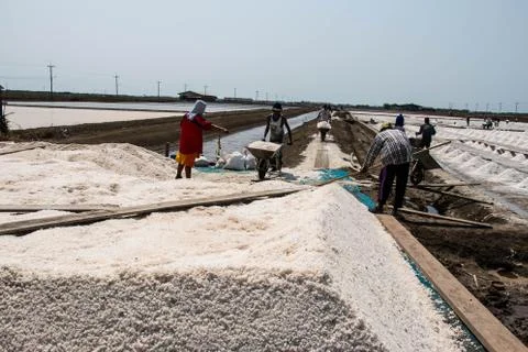 Salt field Stock Photos