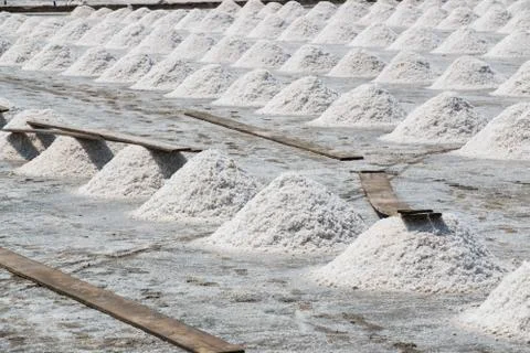 Salt field Foto stock