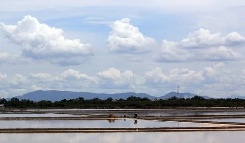 Salt field Stock Photos