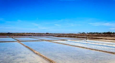 Salt field Stock Photos