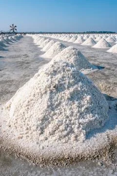 Salt field Stock Photos