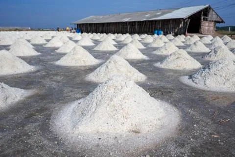 Salt field Stock Photos