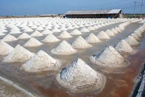 Salt field Stock Photos