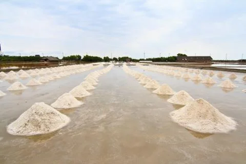 Salt field in thailand, saline Stock Photos