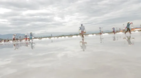 Salt Field Workers Busy Stock Footage 42419485