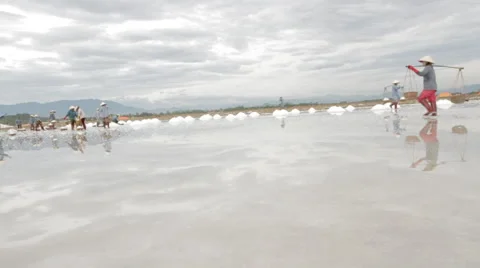 Salt Field Workers Busy Stock Footage 42419993
