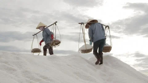 Salt field workers scale a mountain of salt  動画素材 42439224