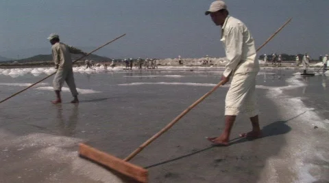 Salt Fields Men Sweeping Stock Footage 589515