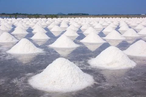 Salt fields Foto stock