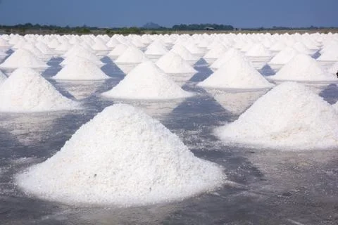Salt fields Stock Photos