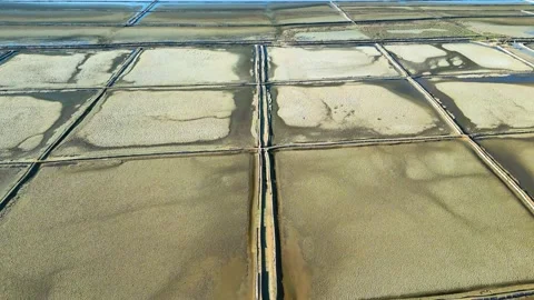 Salt Fields in Solana Pag, the largest sea-salt producer in Croatia Stock Footage 232803137