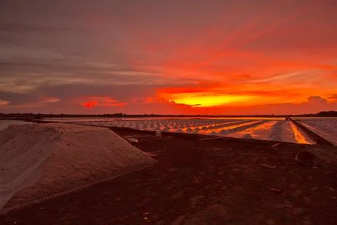 Salt fields in thailand Stock Photos