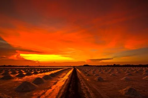 Salt fields in thailand Stock Photos